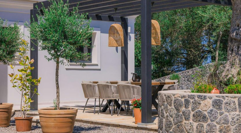 Photo of Ancient Olives & Mountains