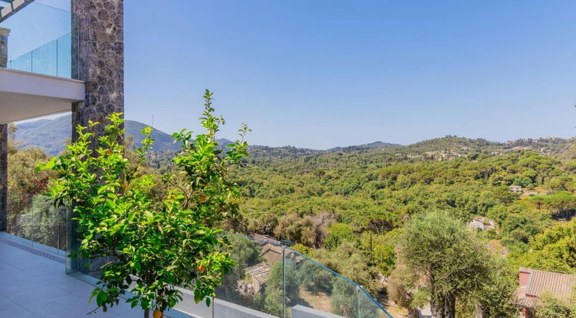 Photo of Ancient Olives & Mountains