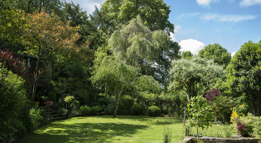 Photo of Cotswold Vines