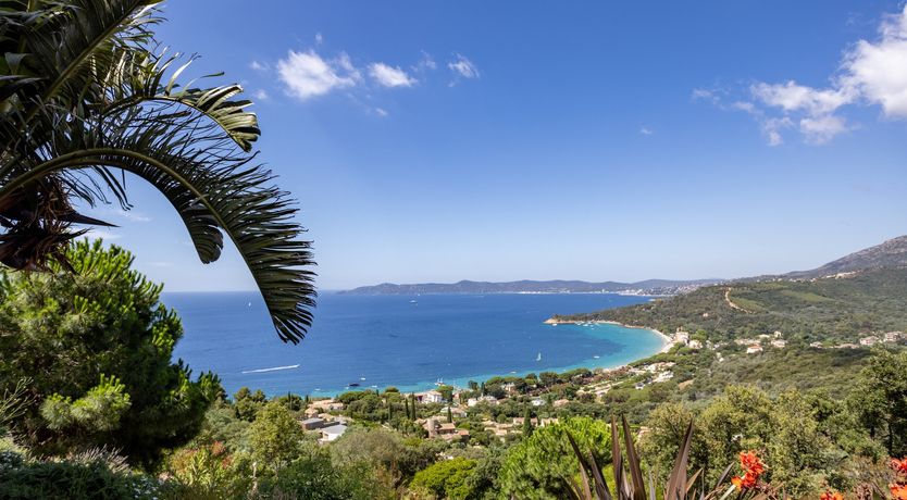 Photo of The Seaside View