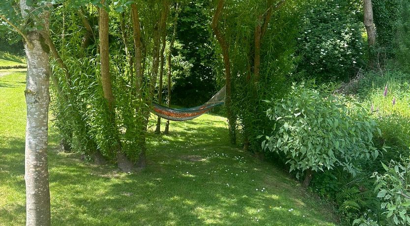 Photo of A Quiet Nest