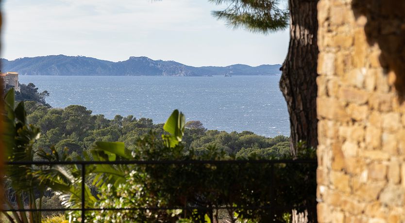 Photo of Velvet Villa