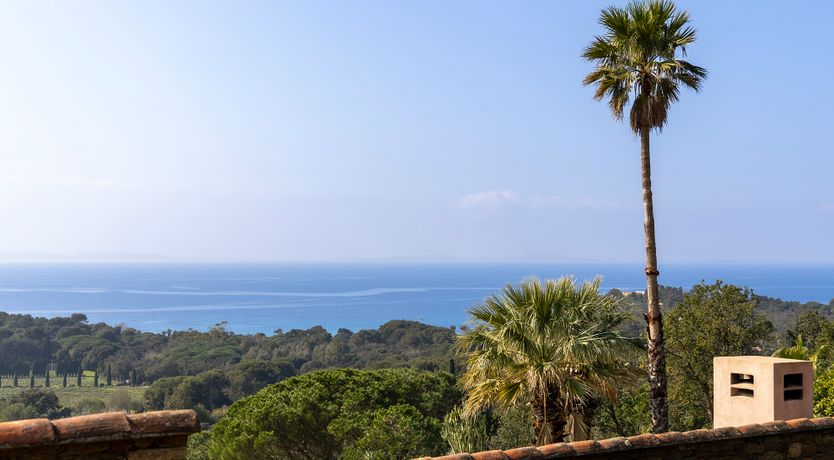 Photo of Velvet Villa