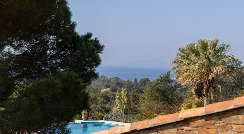 Photo of Velvet Villa