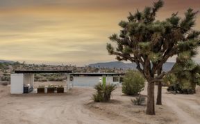 Photo of Desert Stars