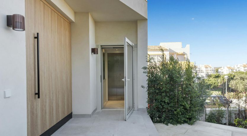 Photo of Honey & Lemon