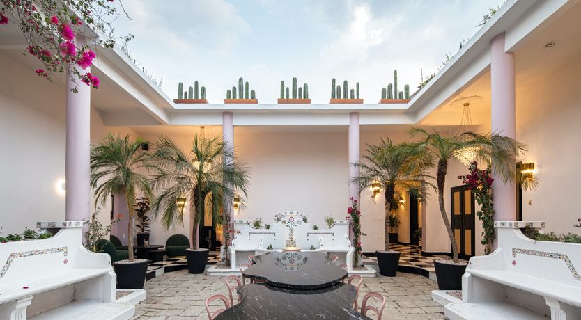 Photo of Oaxaca in Bloom