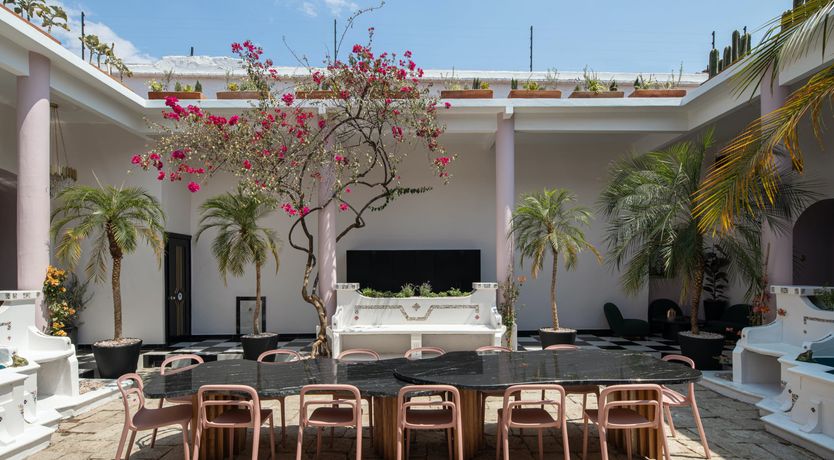 Photo of Oaxaca in Bloom