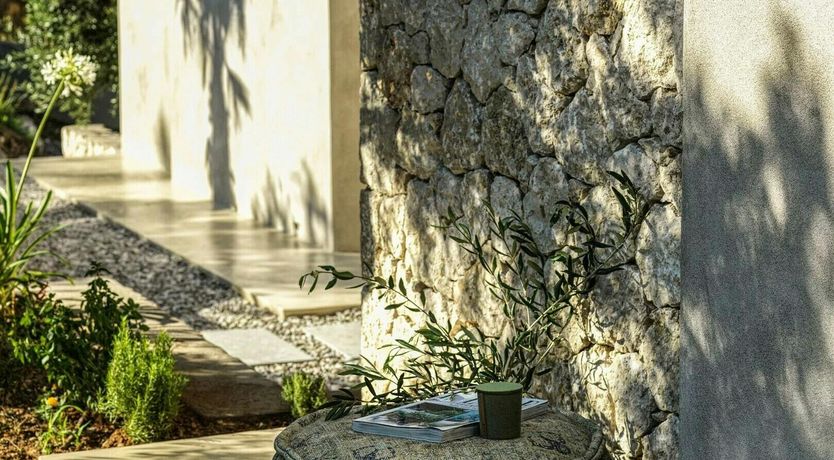 Photo of Olive Coast
