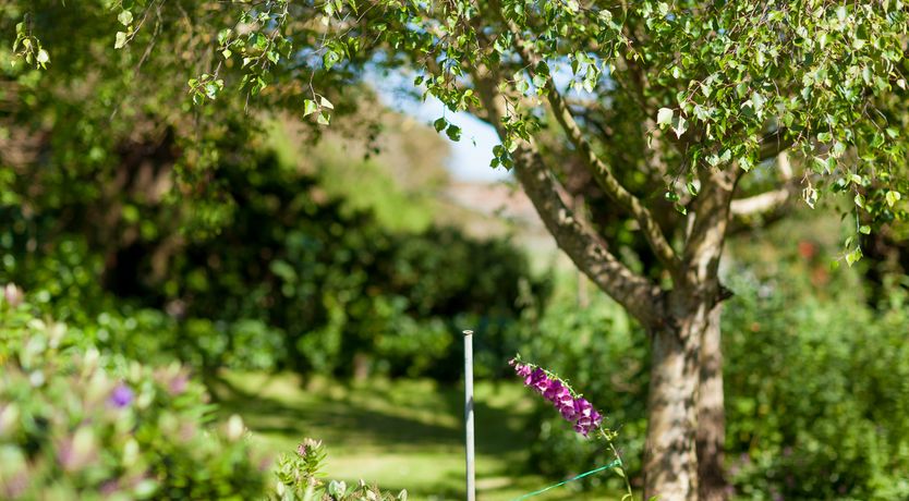 Photo of Bay Cottage