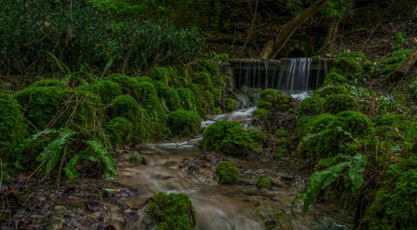 Photo of In Fine Company