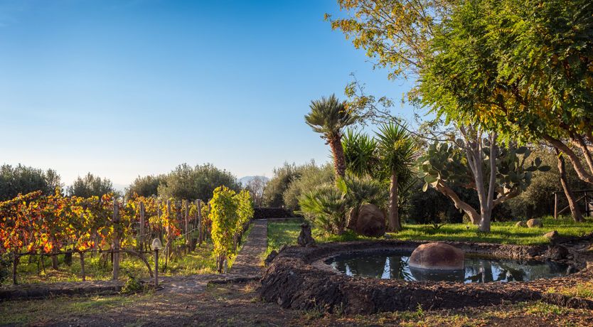 Photo of A Pleasant Oasis
