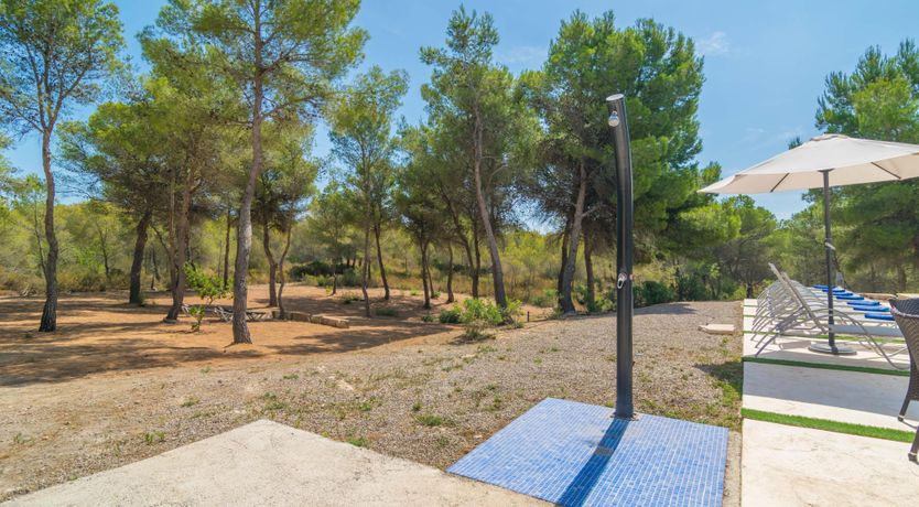 Photo of Meet Me at Midnight