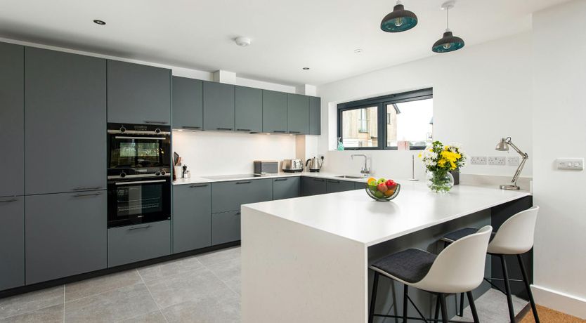 Photo of The Dorset Hare