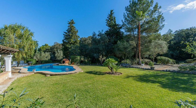 Photo of Mallorcan Muse