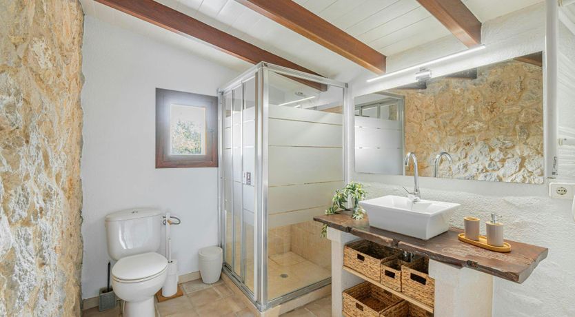 Photo of Mallorcan Muse