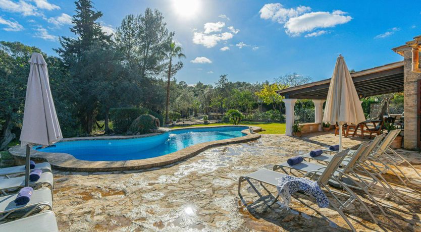 Photo of Mallorcan Muse