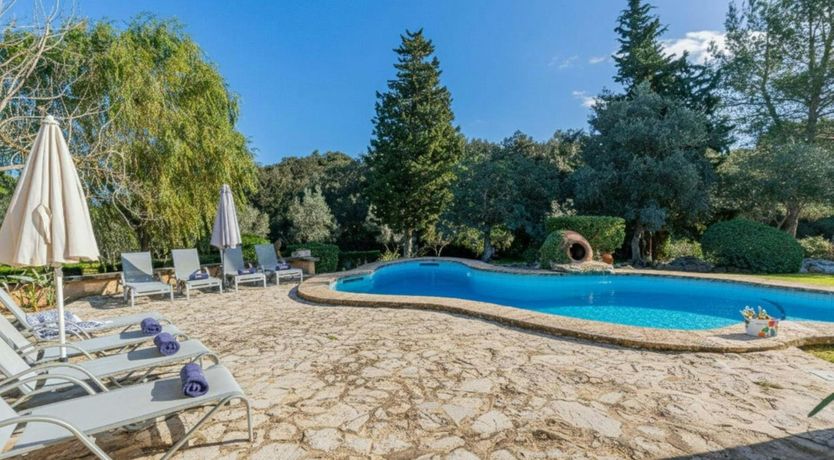 Photo of Mallorcan Muse