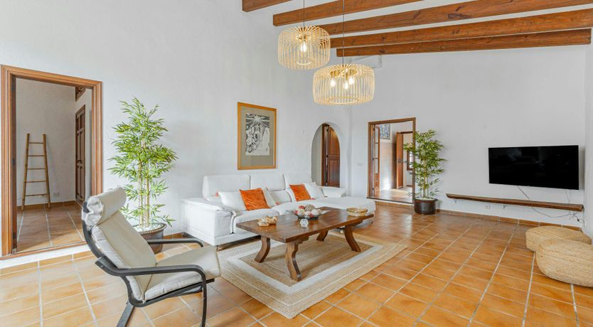 Photo of Mallorcan Muse