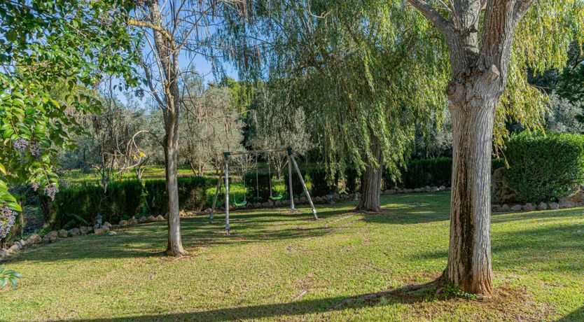 Photo of Mallorcan Muse