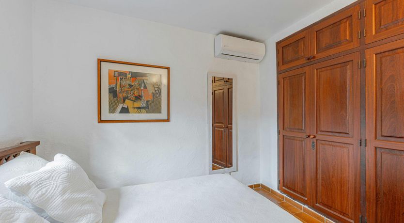 Photo of Mallorcan Muse