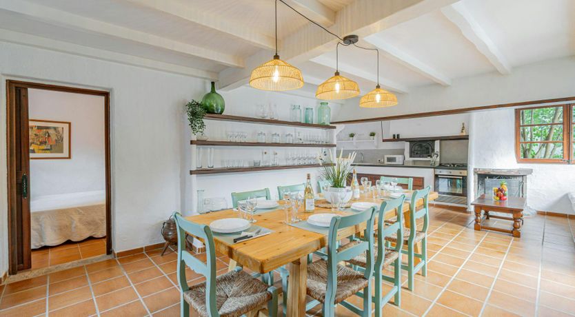 Photo of Mallorcan Muse