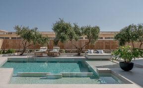 Photo of Olive & Sky