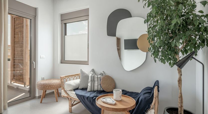 Photo of Olive & Sky