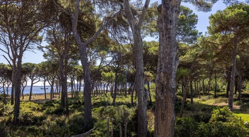 Photo of The Coastal Vista
