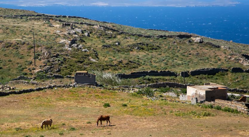 Photo of Mykonos Cool