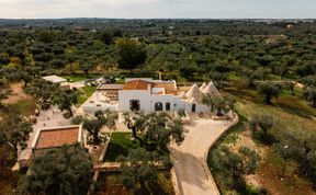 Photo of Luminous Vaults