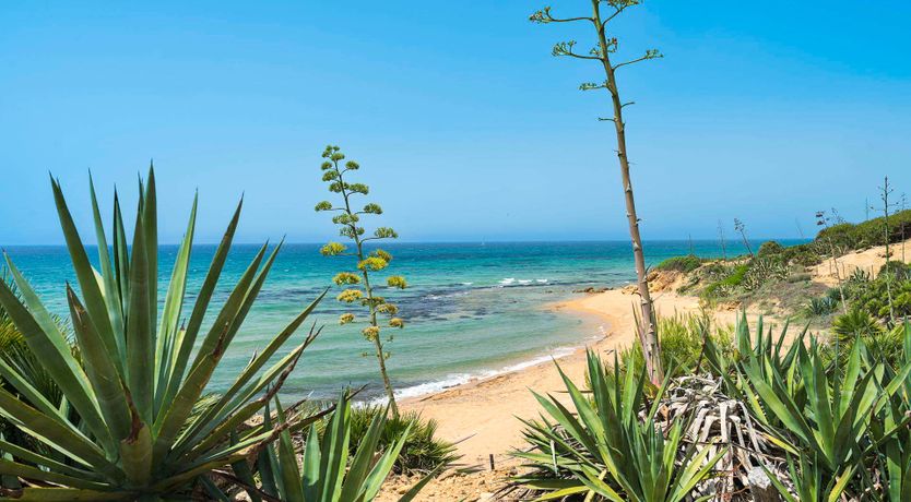 Photo of Serene Sicilian Scene