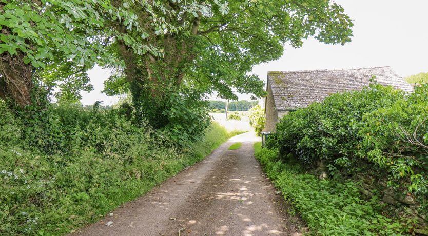 Photo of The Orchard Lane