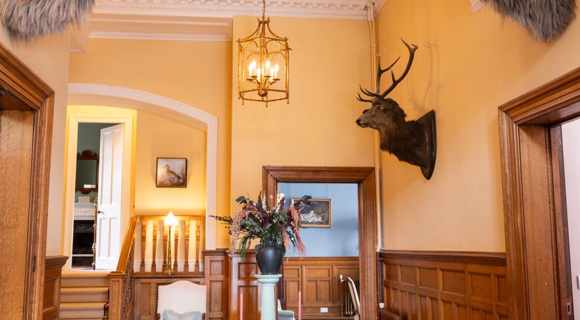 Photo of Edinburgh Maximalism