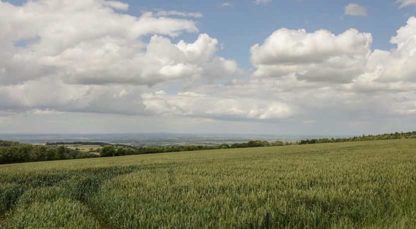 Photo of Blockley Gold