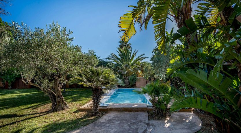 Photo of Dream of Love