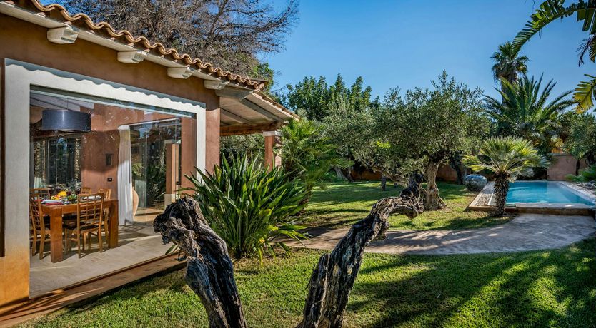 Photo of Dream of Love