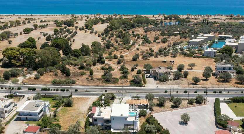 Photo of Rose of Rhodes