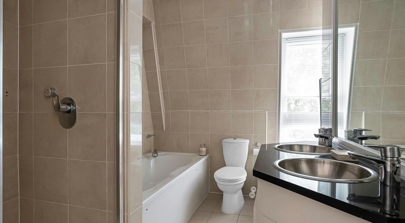 Photo of The Violet Sun