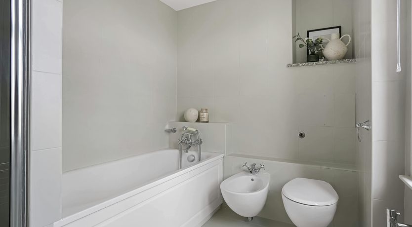 Photo of The Violet Sun