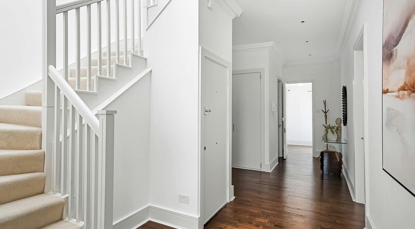 Photo of The Violet Sun