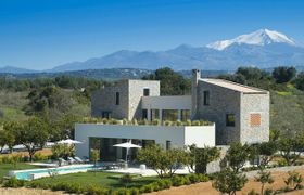 Photo of the-wisdom-tree