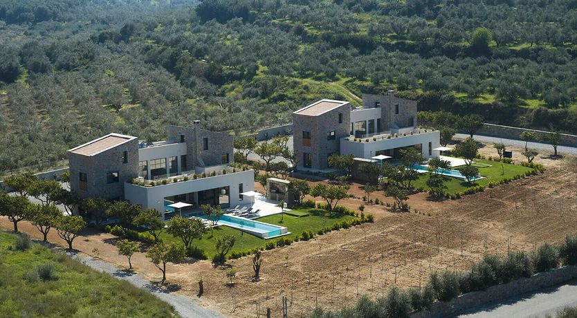 Photo of The Wisdom Tree