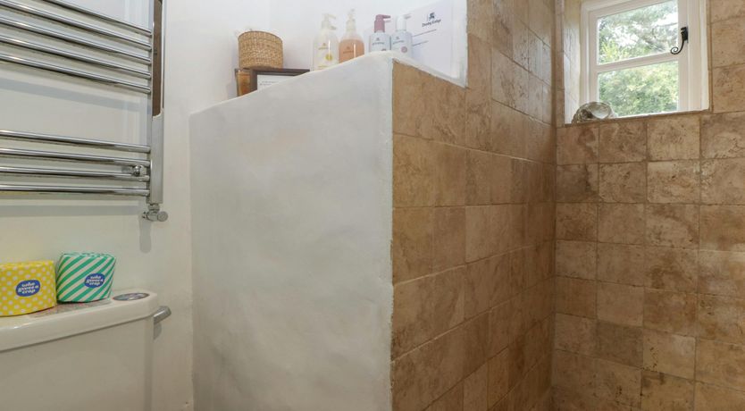 Photo of Forest King