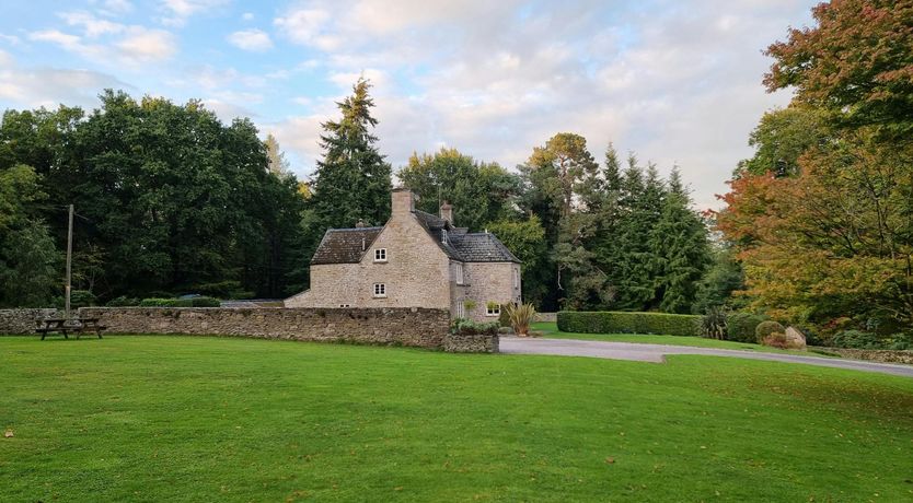 Photo of Forest King