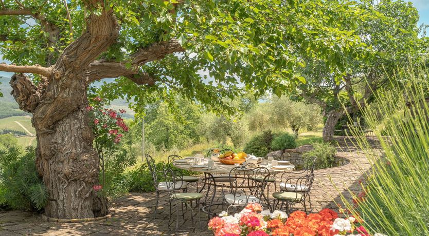 Photo of Under the Chianti Sun