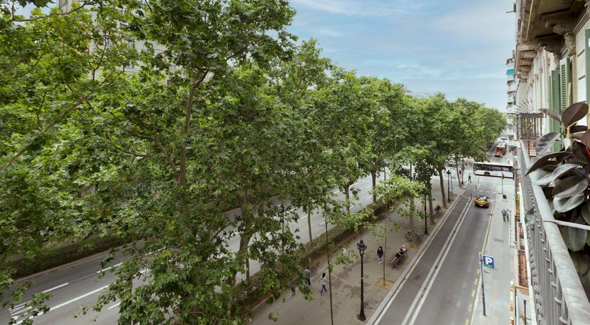 Photo of Setting the Eixample