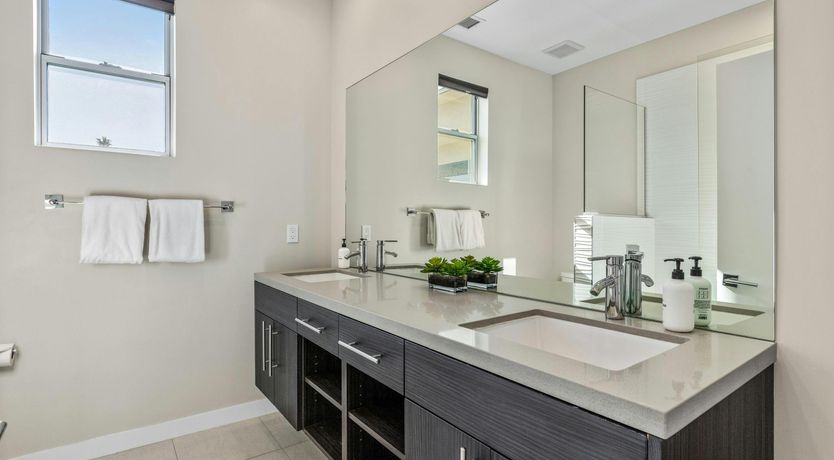 Photo of Fun in the Desert