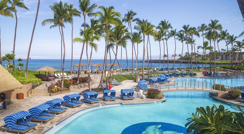 Photo of Hawaiian Sunshine