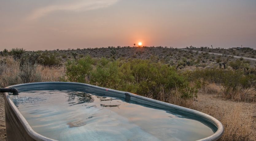 Photo of Pause House PM